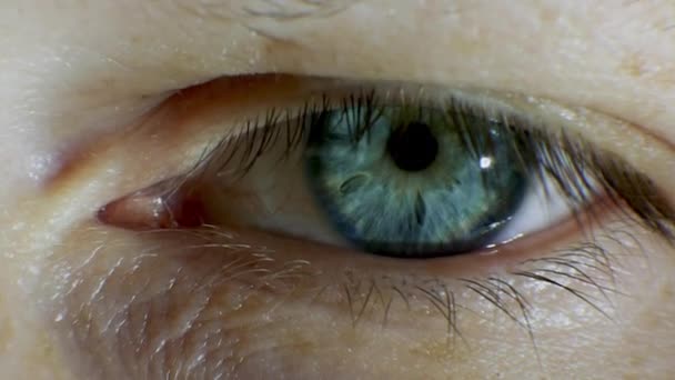 Nsan Gözü Mavi Makro Çekim Erkek Gözü Yakın Çekim — Stok video
