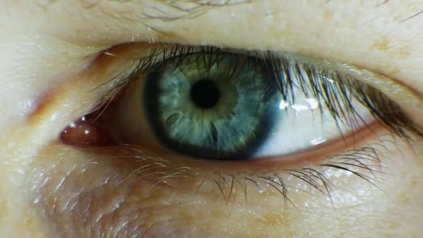 Menschliches Auge Blaues Makro Männliches Auge Nahaufnahme — Stockvideo