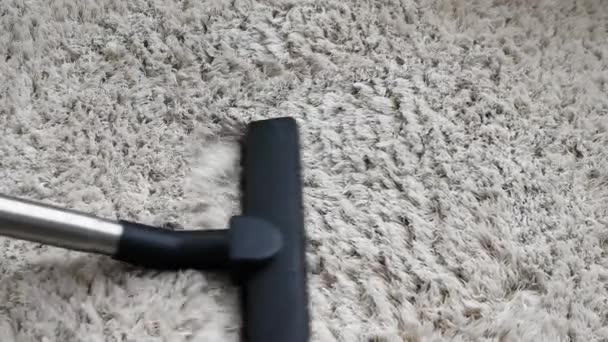 Cleaner Vacuums Fluffy White Rug Cleaning Apartment — Video Stock