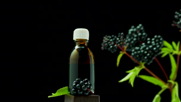 黒い背景の瓶の中の医学 医療用ボトルの中のブラック エルダーベリー ホメオパシー — ストック動画