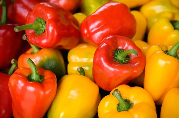 Group Red Yellow Bell Peppers Low Sun Lighting — Stock Photo, Image