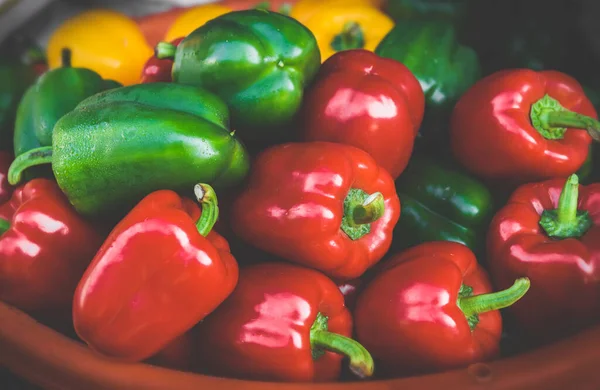 Group Red Green Yellow Bell Peppers Low Sun Lighting — Stock Photo, Image