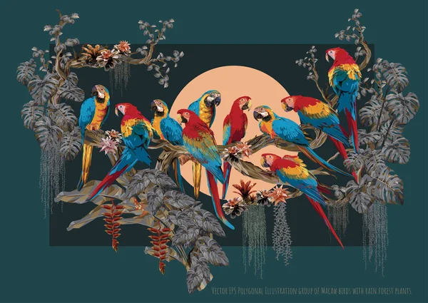 Wektor Eps Polygonal Ilustracja Kolorowa Grupa Ptaków Macaw Roślinami Lasów — Wektor stockowy