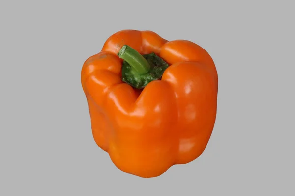 Orangen Paprika Gemüse Auf Isoliertem Grauen Hintergrund — Stockfoto