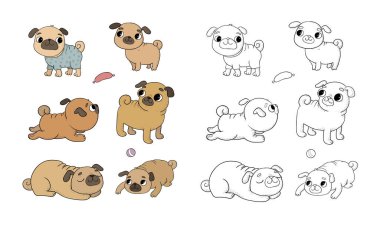 Tatlı çizgi film pug seti. Veteriner için neşeli, komik bir köpek resmi. Vektör çizimi. Yavru köpekler için kıyafet.