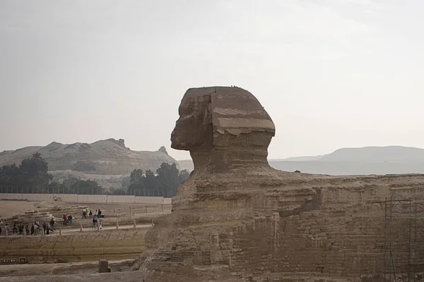 Sphinx Giza Egypt — стокове фото