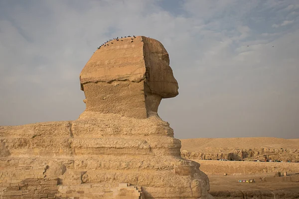 Ancient Ruins Sphinx Temple Beautiful Stone — Stockfoto