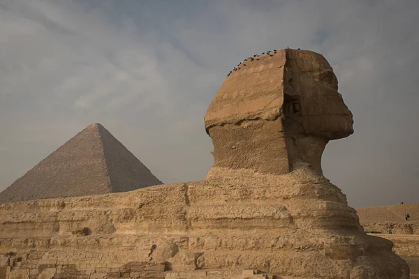 Ancient Sphinx Giza — ストック写真
