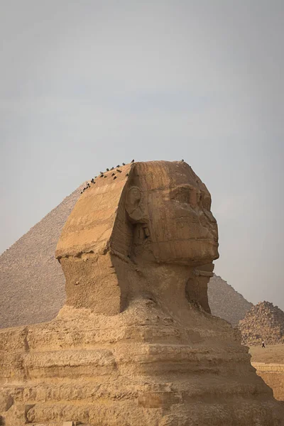 Прекрасний Вигляд Стародавньої Єгипетської Пустелі — стокове фото
