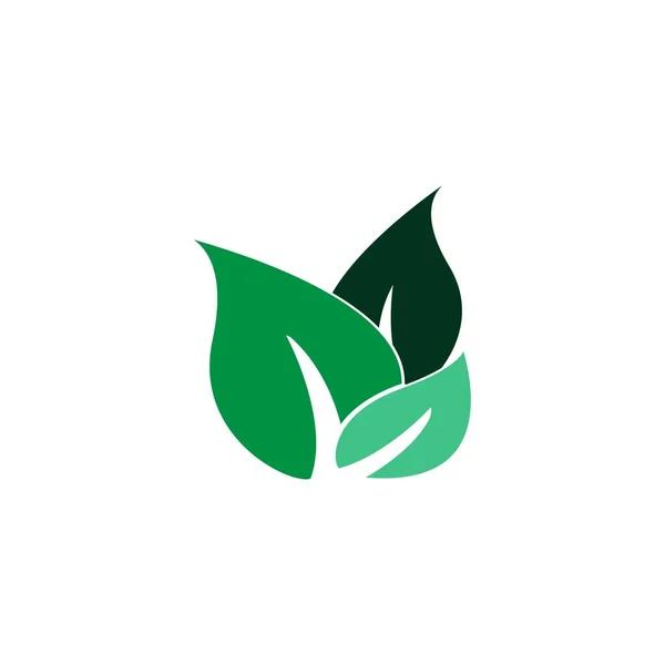Blatt Symbol Vektor Illustration Logo Design Bild — Stockvektor