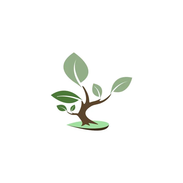 Dies Ist Eine Zierpflanze Element Symbol Vektor Design Illustration — Stockvektor