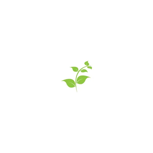 Leaf Icon Vector Illustration Design — Stock vektor