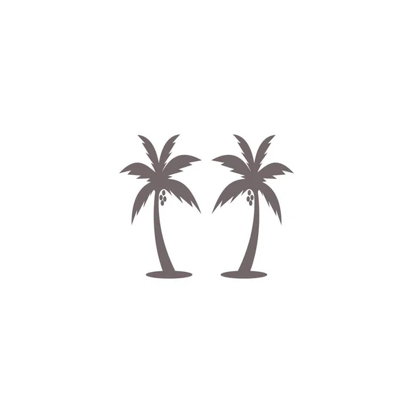 Coconut Tree Icon Vector Illustration Design — Stock Vector