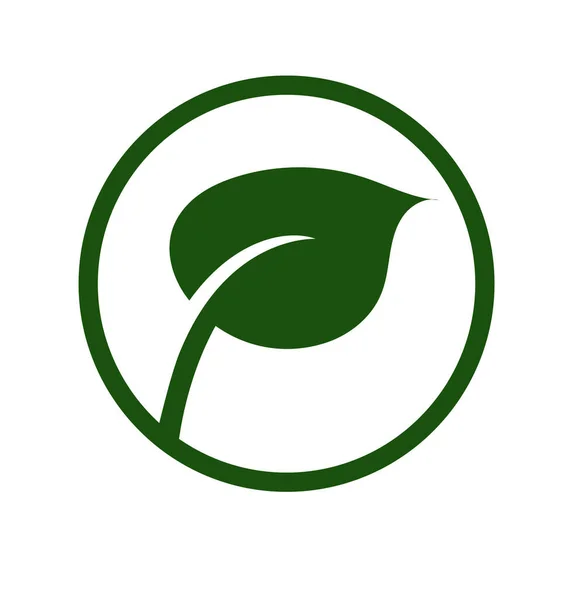 Projeto Ícone Logotipo Vetor Folha Verde Folha Verde Logotipo Ícone —  Vetores de Stock