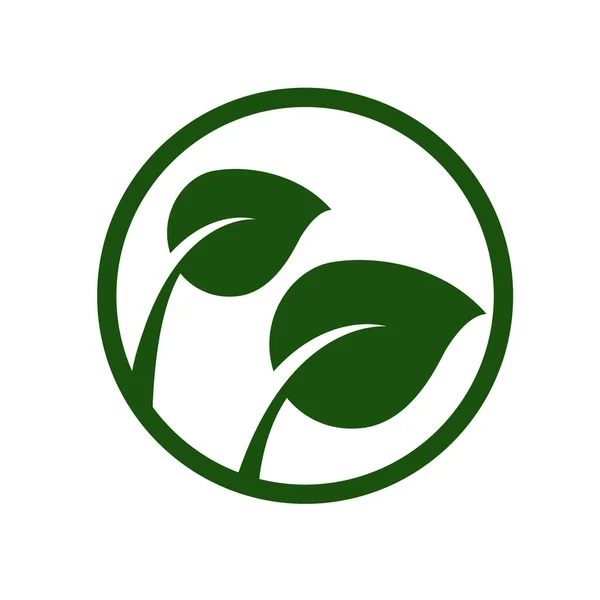 Projeto Ícone Logotipo Vetor Folha Verde Folha Verde Logotipo Ícone —  Vetores de Stock