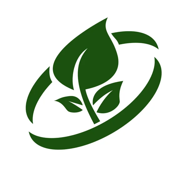 Logo Vectoriel Green Leaf Design Icône Logo Feuille Verte Icône — Image vectorielle