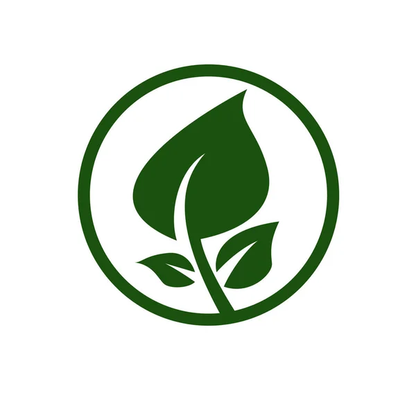 Diseño Del Logotipo Del Vector Hoja Verde Icono Verde Hoja — Archivo Imágenes Vectoriales