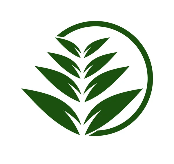 Green Leaf Vector Logo Design Icon Green Leaf Logo Icon — ストックベクタ