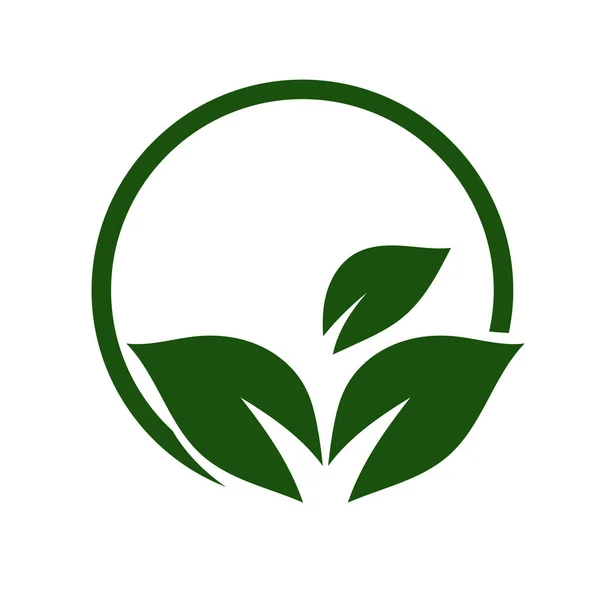 Зелений Лист Векторний Дизайн Логотипу Піктограма Зелений Лист Логотипу Значок — стоковий вектор