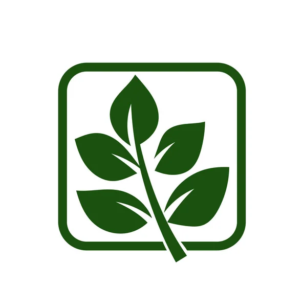 Green Leaf Vektor Logo Design Und Symbol Grüne Blatt Logo — Stockvektor