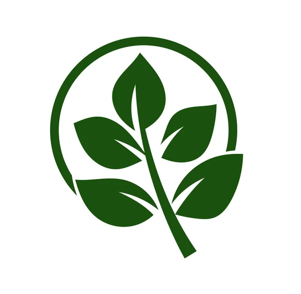 Green Leaf Vector Logo Design Icon Green Leaf Logo Icon — стоковый вектор