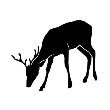 Siyah boynuzlu erkek geyik (alfa erkek) siluet fotoğraf