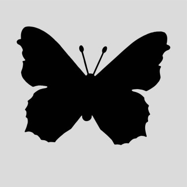 Güzel kelebek logo ikonu silueti