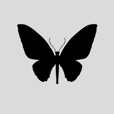 Güzel kelebek logo ikonu silueti