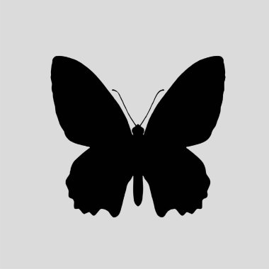 Güzel kelebek logo ikonu silueti
