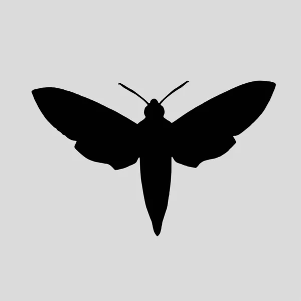 Silhouette Beautiful Butterfly Logo Vector Icon — Wektor stockowy