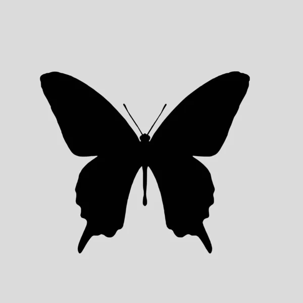 Silhouette Beautiful Butterfly Logo Vector Icon — ストックベクタ