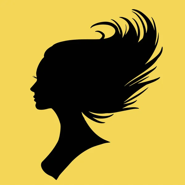 Silhouette Beautiful Woman Use Hair Beauty Spa Logo Vector Icon — Vetor de Stock