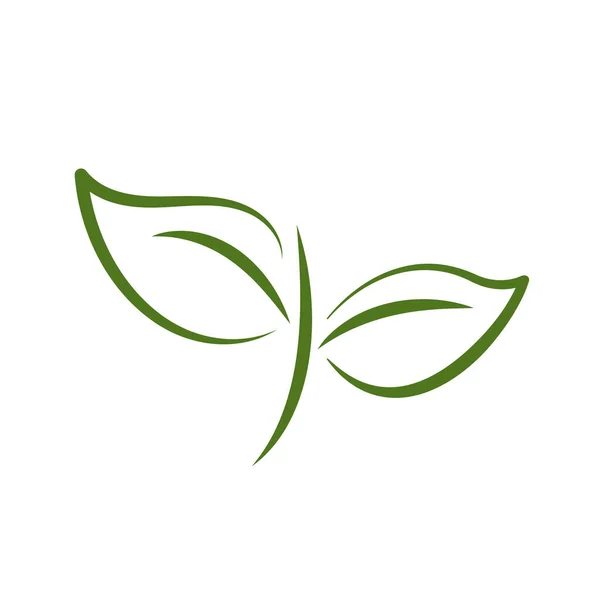 Natuur Groen Blad Logo Illustratie Vector Pictogram Witte Achtergrond — Stockvector