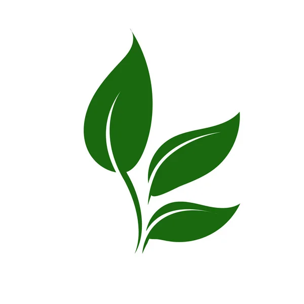Natur Grünes Blatt Logo Illustration Vektor Symbol Auf Weißem Hintergrund — Stockvektor