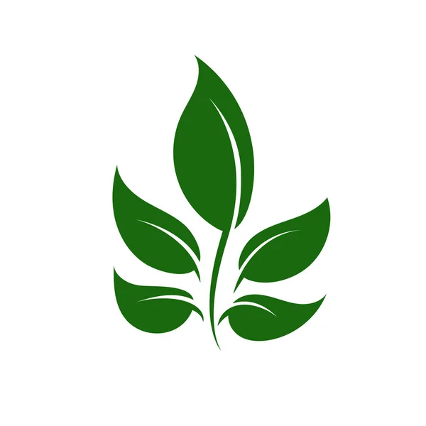 Природа Зеленого Листя Логотипу Ілюстрація Векторна Іконка Білому Фоні — стоковий вектор