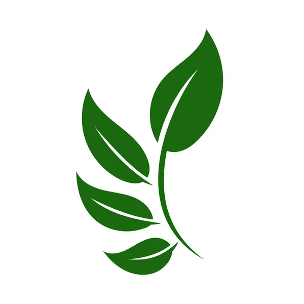 自然绿叶标识白色背景上的矢量图标 — 图库矢量图片
