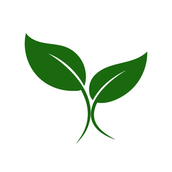 Natureza Verde Folha Logotipo Ilustração Vetor Ícone Fundo Branco —  Vetores de Stock