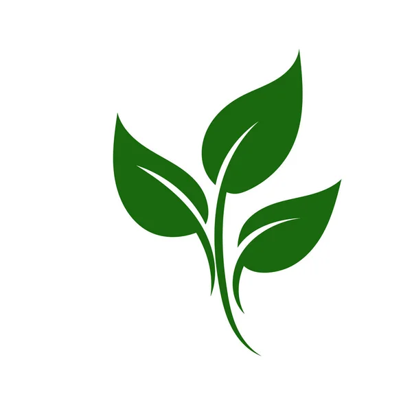 Natura Verde Foglia Logo Illustrazione Vettoriale Icona Sfondo Bianco — Vettoriale Stock