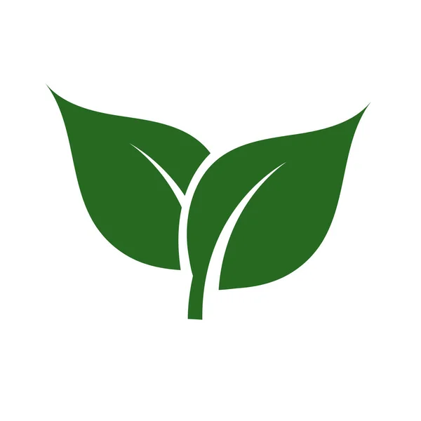 Natur Grünes Blatt Logo Illustration Vektor Symbol Auf Weißem Hintergrund — Stockvektor