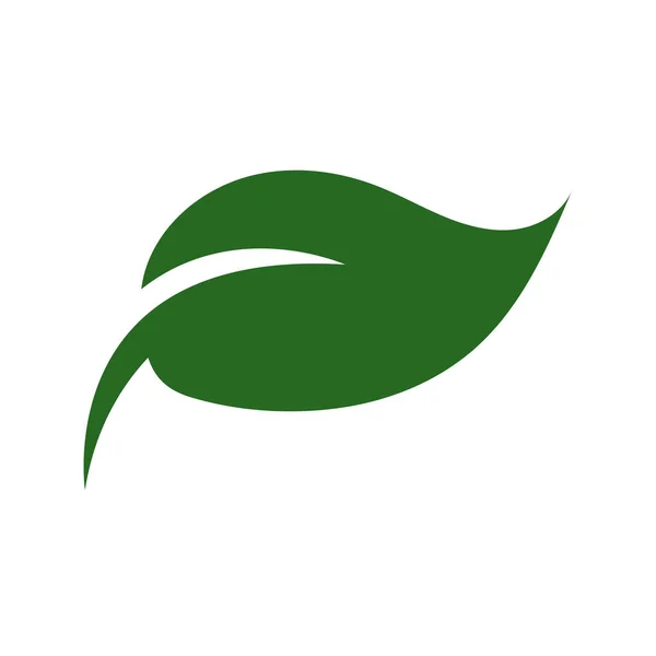 Beyaz Arkaplanda Doğa Yeşil Yaprak Logosu Illüstrasyon Vektör Simgesi — Stok Vektör