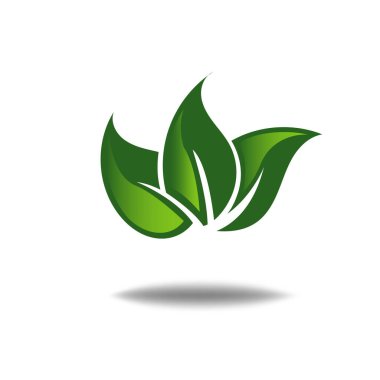 Beyaz arkaplanda doğa yaprağı logosu illüstrasyon vektör simgesi
