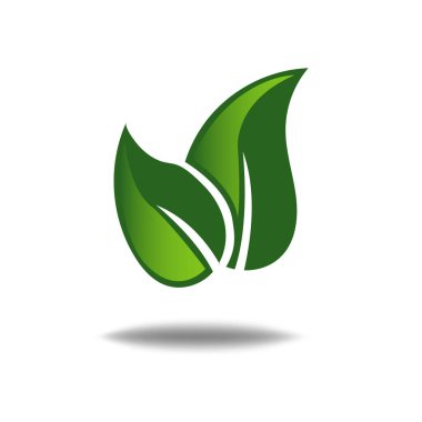 Beyaz arkaplanda doğa yaprağı logosu illüstrasyon vektör simgesi