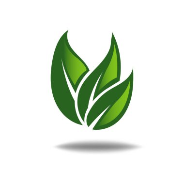 Beyaz arkaplanda doğa yaprağı logosu illüstrasyon vektör simgesi