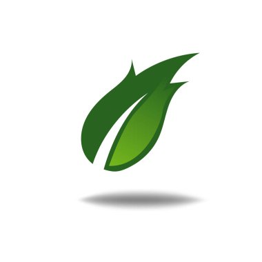 Beyaz arkaplanda doğa yaprağı logosu illüstrasyon vektör simgesi
