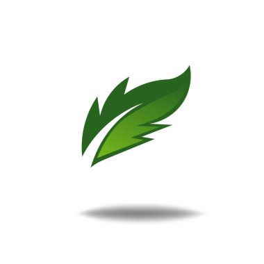 Beyaz arkaplanda doğa yaprağı logosu illüstrasyon vektör simgesi