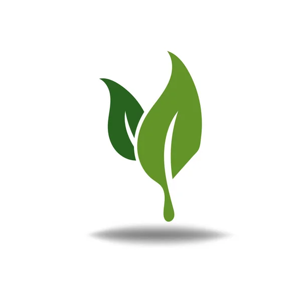 Natur Löv Logotyp Illustration Vektor Ikon Vit Bakgrund — Stock vektor