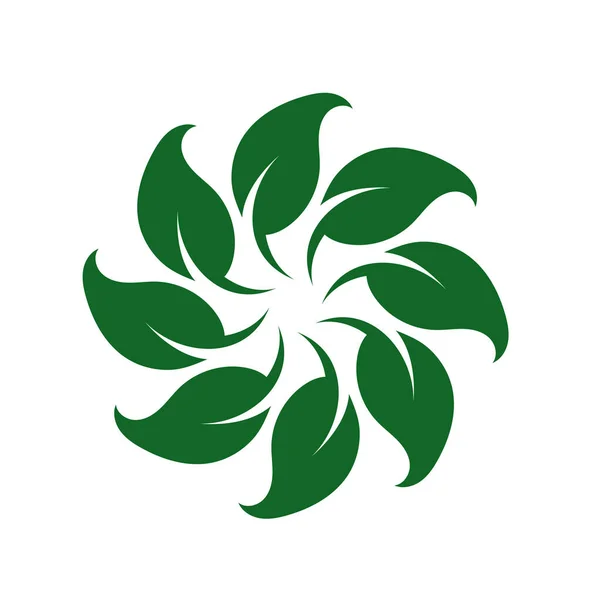 Vecteur Bannière Ronde Branches Avec Feuilles Feuilles Vertes Cercle Feuilles — Image vectorielle