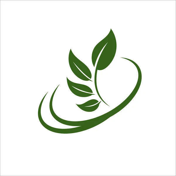 Green Leaf Eco Organische Logo Ontwerp Vector Template Eenvoudige Platte — Stockvector