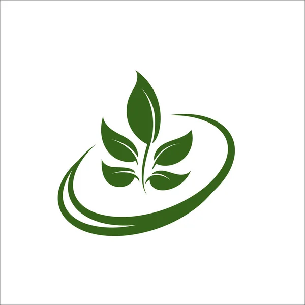 Green Leaf Eco Organische Logo Ontwerp Vector Template Eenvoudige Platte — Stockvector