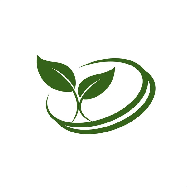 Green Leaf Eco Orgânico Logo Design Vector Template Simples Vetor —  Vetores de Stock